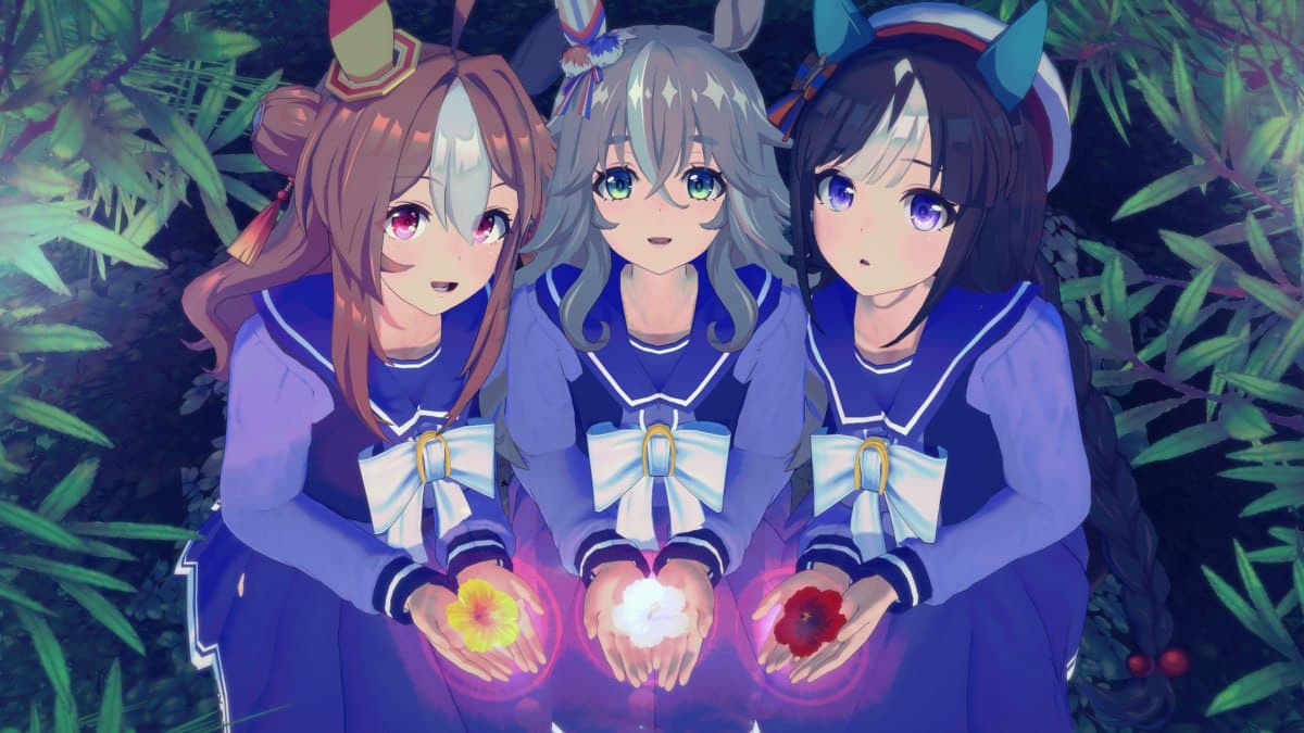 ワンダーアキュート - Wonder Acute - 奇銳駿