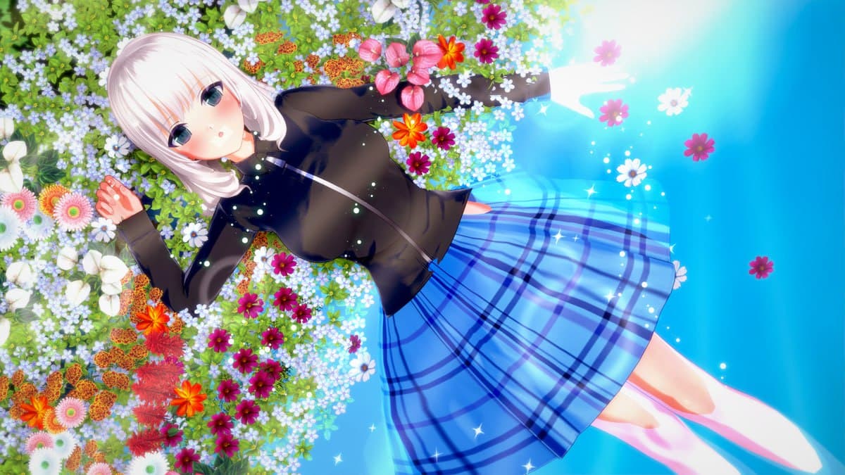 片倉凪咲 / Katakura Nagisa