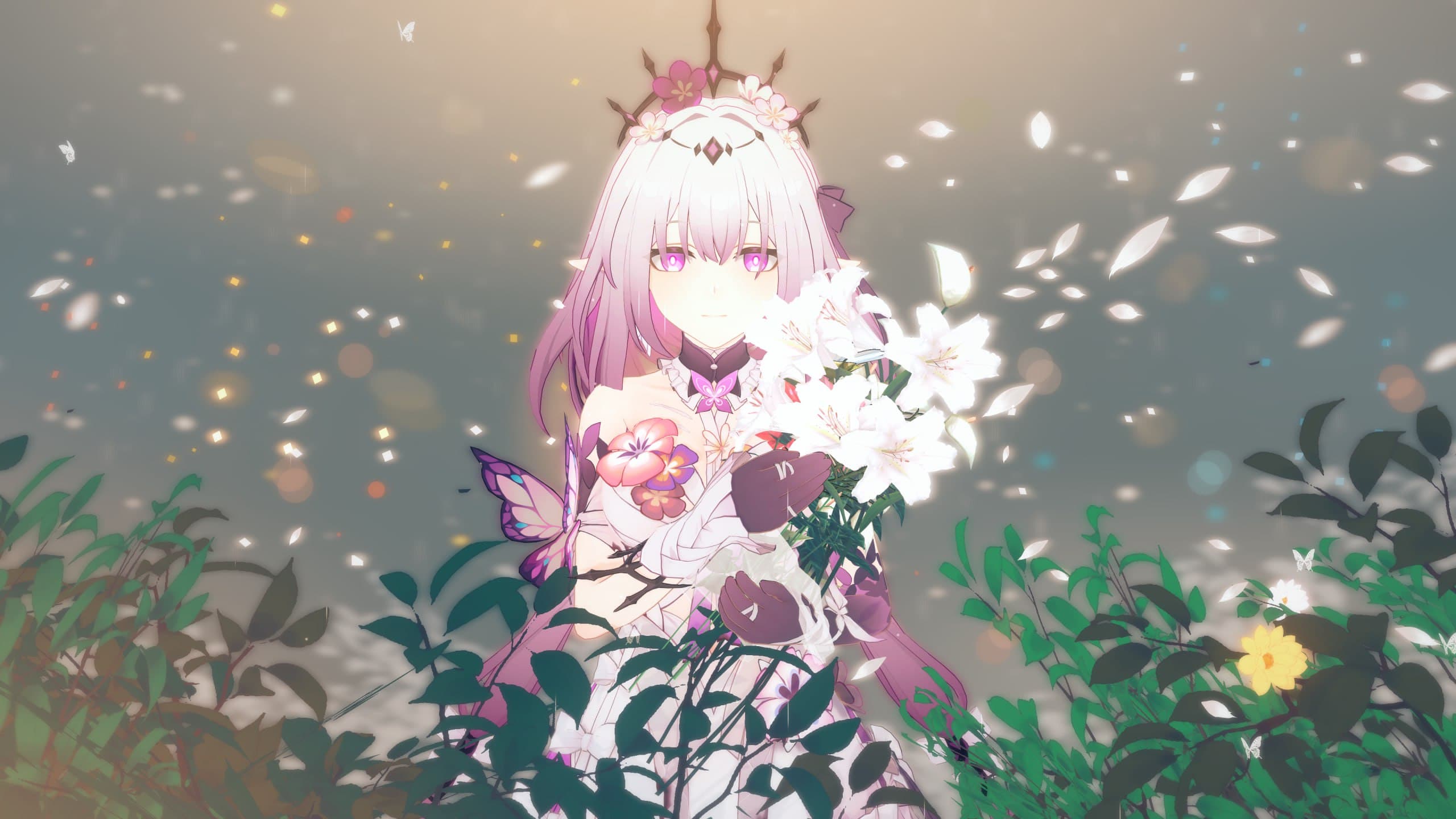 遐蝶[キャラ配布]